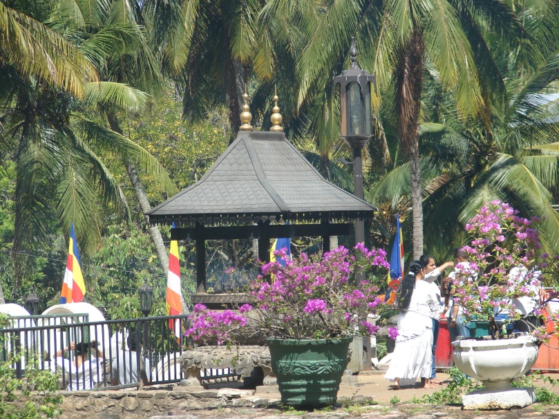 Kandy - Temple of tooth campus